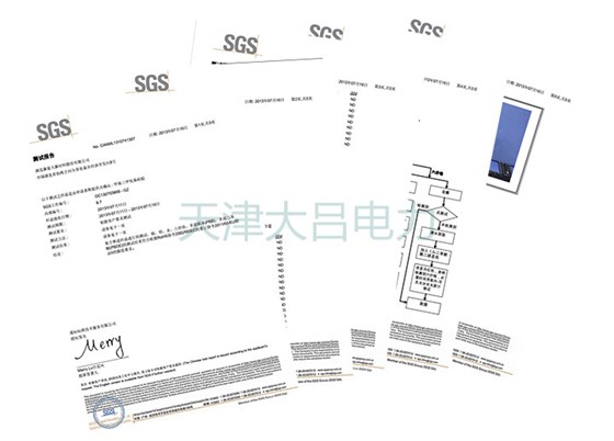 大吕电力SGS测试报告7-16